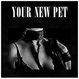New Pet