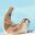 Flipper Frenzy icon