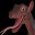Dimension L icon