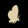 Waxwing icon