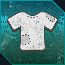 उपलब्धि चिह्न