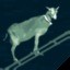 Icon for Ladder Goat