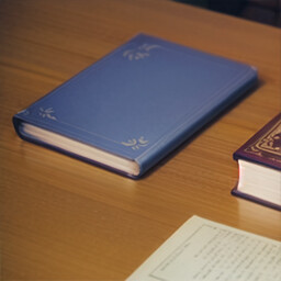 Icon for The Collector