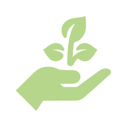 🪴Placed with Care