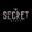 The Secret Story icon
