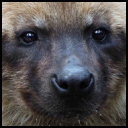 Icon for Master mind