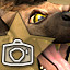 Icon for Hyena Photographer