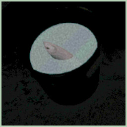 Icon for No no no mr fish