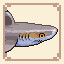 Icon for Reef Shark