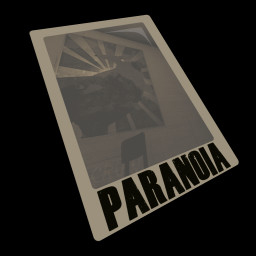 Paranoid Polaroids