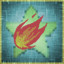 Icon for Meteor Mastery