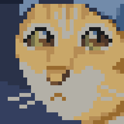Icon for Girl with a Pearl Earring: 8th Region