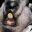 Marmot Fight Club icon