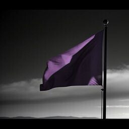 Icon for Progressive