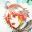 ルミネックス カルテット icon