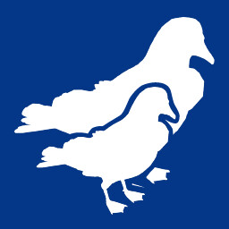 Icon for He's Putting on Weight...