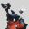 虫虫巴迪 Buddy Bug Playtest icon