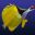 Reef Defense icon