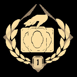 Achievement icon