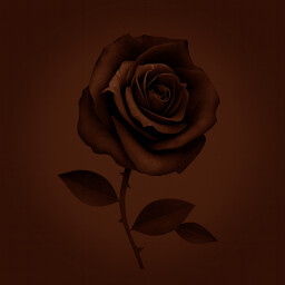 Icon for Reunion