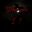 Who am I? icon