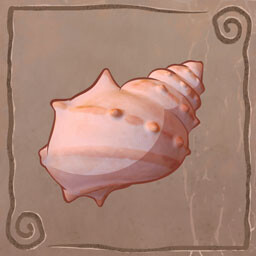 The Hidden Shell