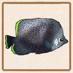 Icon for WroughtIron Butterflyfish
