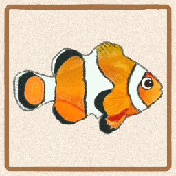Icon for Ocellaris Clownfish