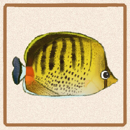 Icon for Dot Dash Butterflyfish