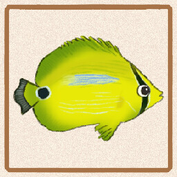 Icon for Blueblotch Butterflyfish