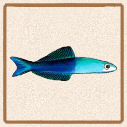 Icon for Scissortail Dartfish