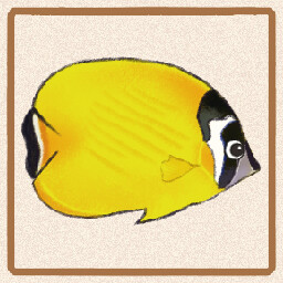 Icon for Hongkong Butterflyfish