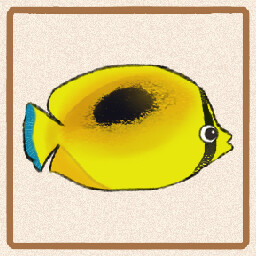 Icon for Mirror Butterflyfish