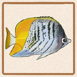 Icon for Seychelles Butterflyfish