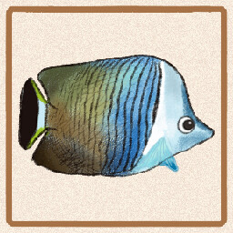 Icon for White Faced Butterflyfish
