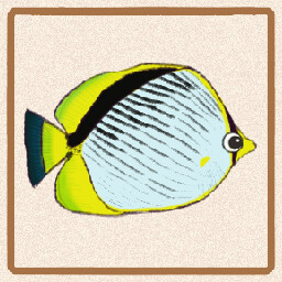 Icon for Black Back Butterflyfish