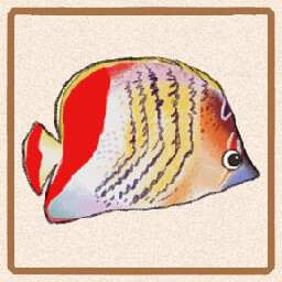 Icon for Paucifasciatus Butterflyfish