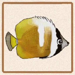 Icon for Sunburst Butterflyfish
