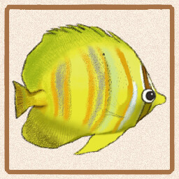 Icon for Rainfordi Butterflyfish