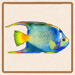 Icon for Queen Angelfish