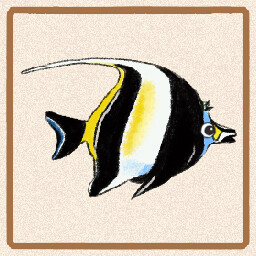 Icon for Moorish Idol