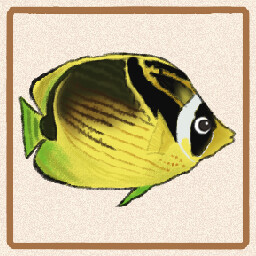 Icon for Raccoon Fasciatus Butterflyfish
