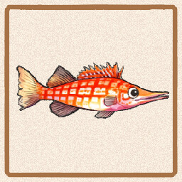 Icon for Longnose Hawkfish