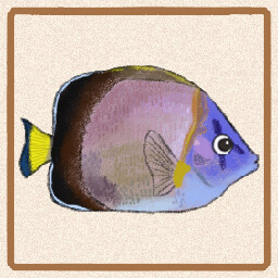 Icon for Japanese Butterflyfish