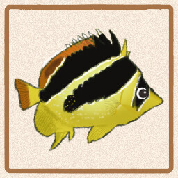 Icon for Mitratus Butterflyfish