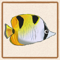 Icon for Falcula Butterflyfish