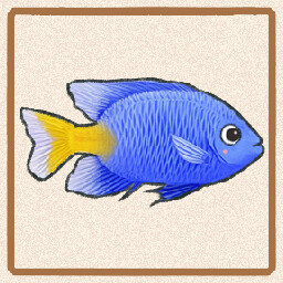 Icon for Yellowtail Damselfish