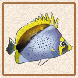 Icon for Declivis Butterflyfish