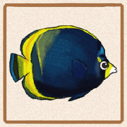 Icon for Dusky Butterflyfish