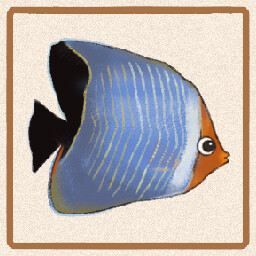 Icon for Hooded Butterflyfish